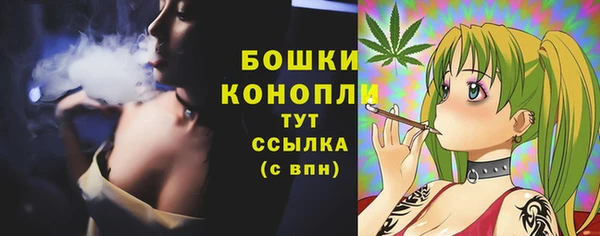 прущая мука Нея
