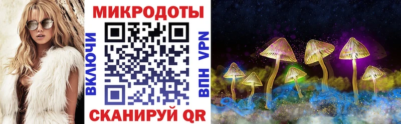 Псилоцибиновые грибы Cubensis  цены наркотик  kraken как зайти  Питкяранта 